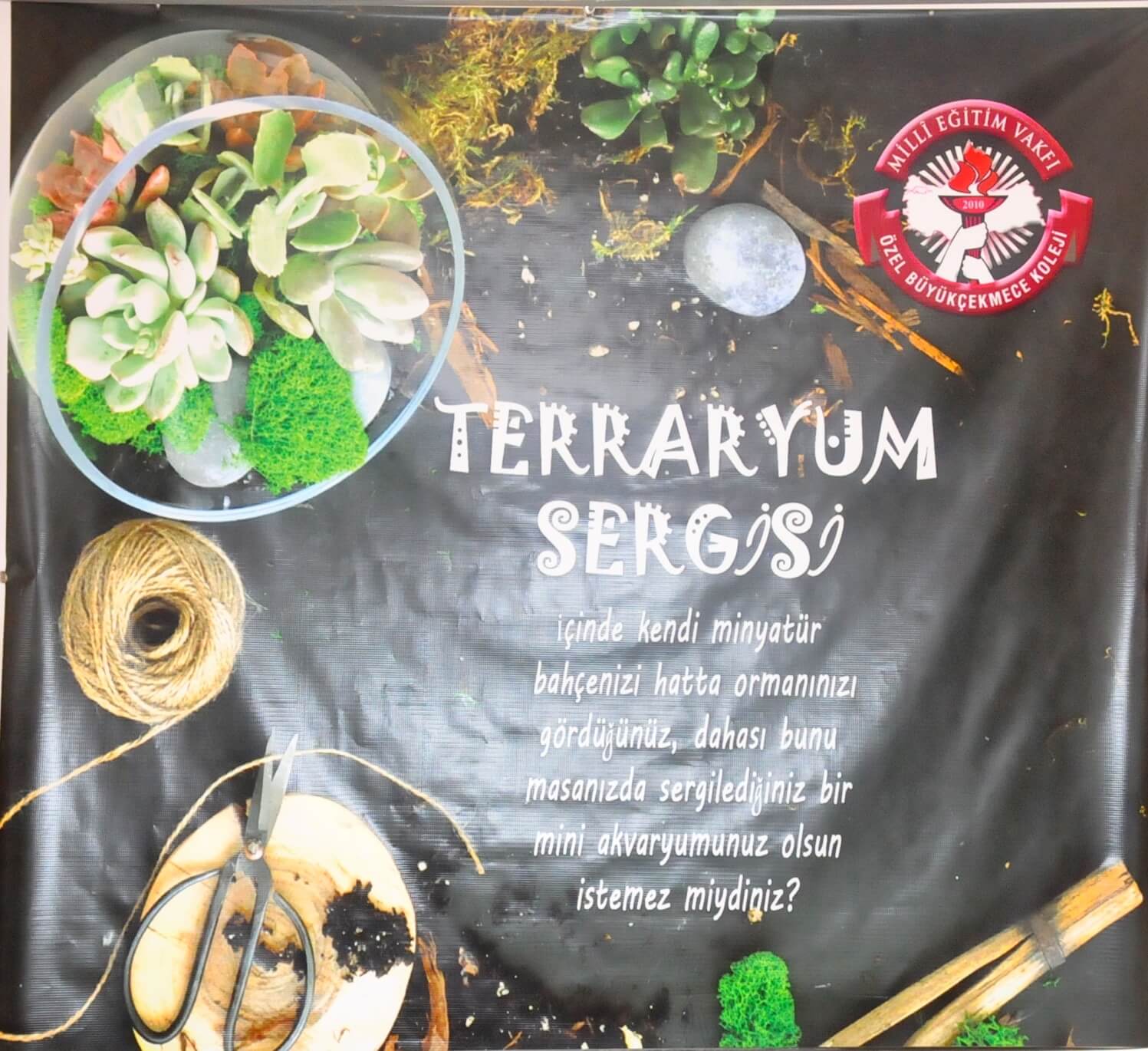 9. Sınıf Anadolu Lisesi ve Fen Lisesi Öğrencilerimizin Katılımıyla “Terraryum” Sergisinin Açılışı Gerçekleşti